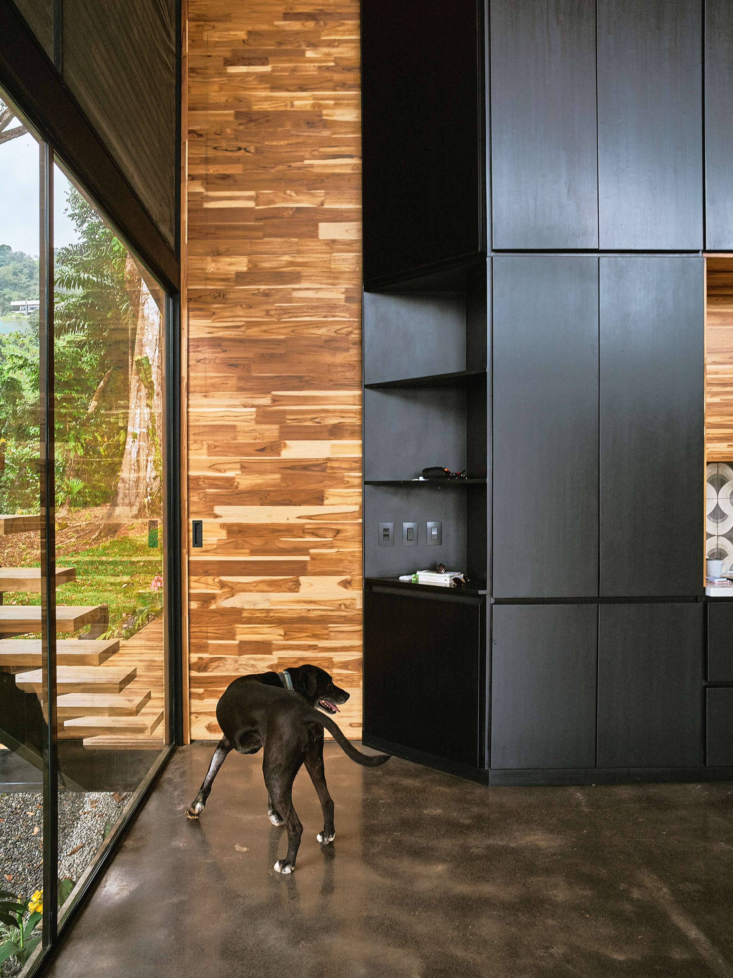 Black House (Casa Negra) (5)