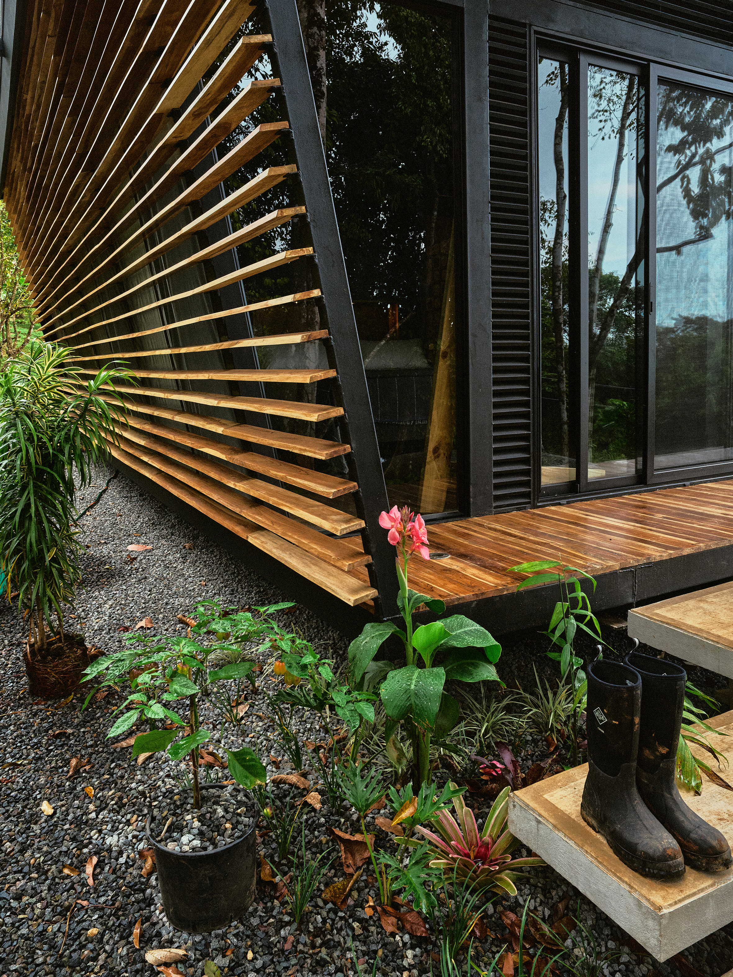 Black House (Casa Negra) (6)
