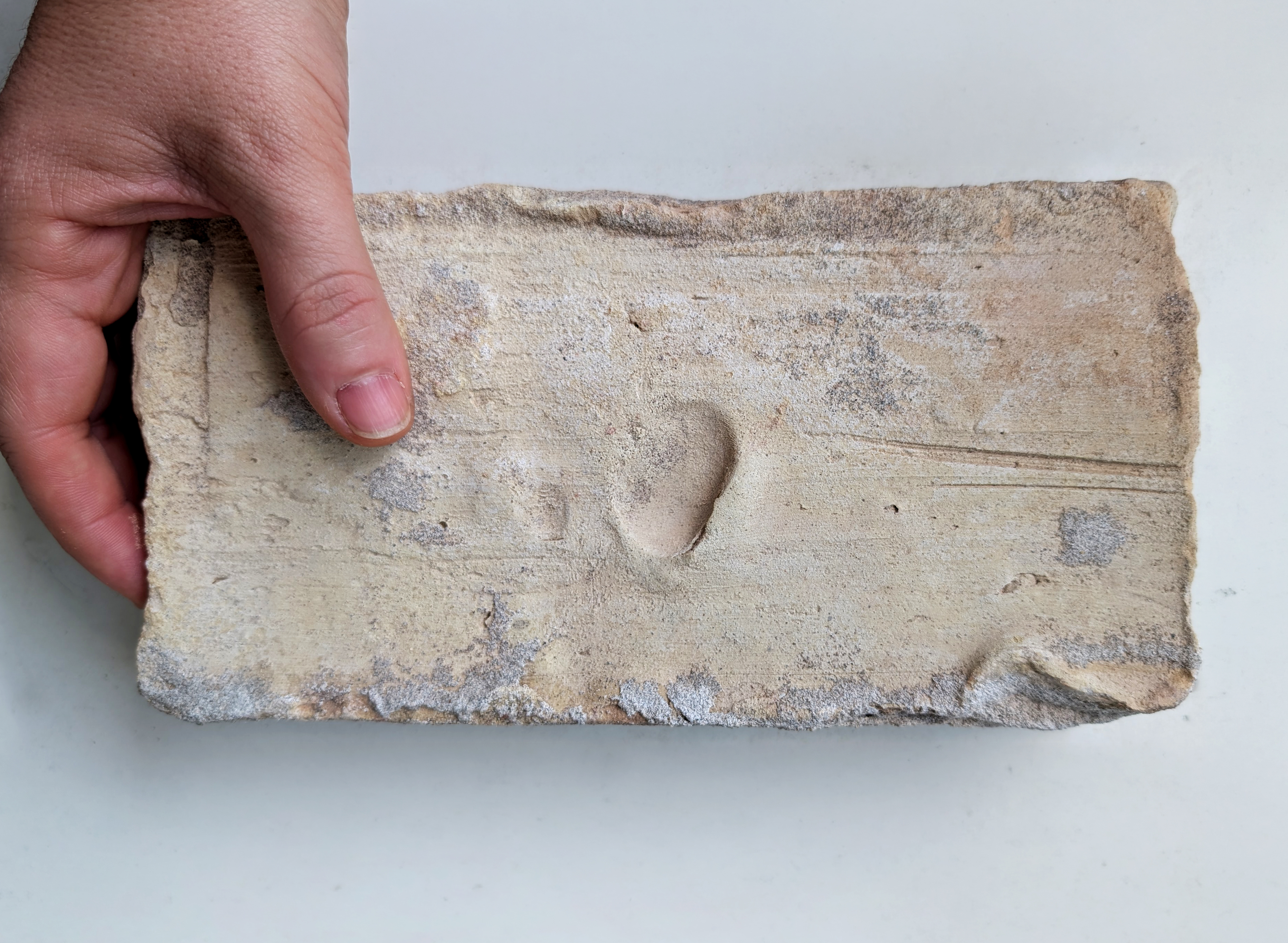 Insieme - Track, Trace, and Transform Reclaimed Stories (2)