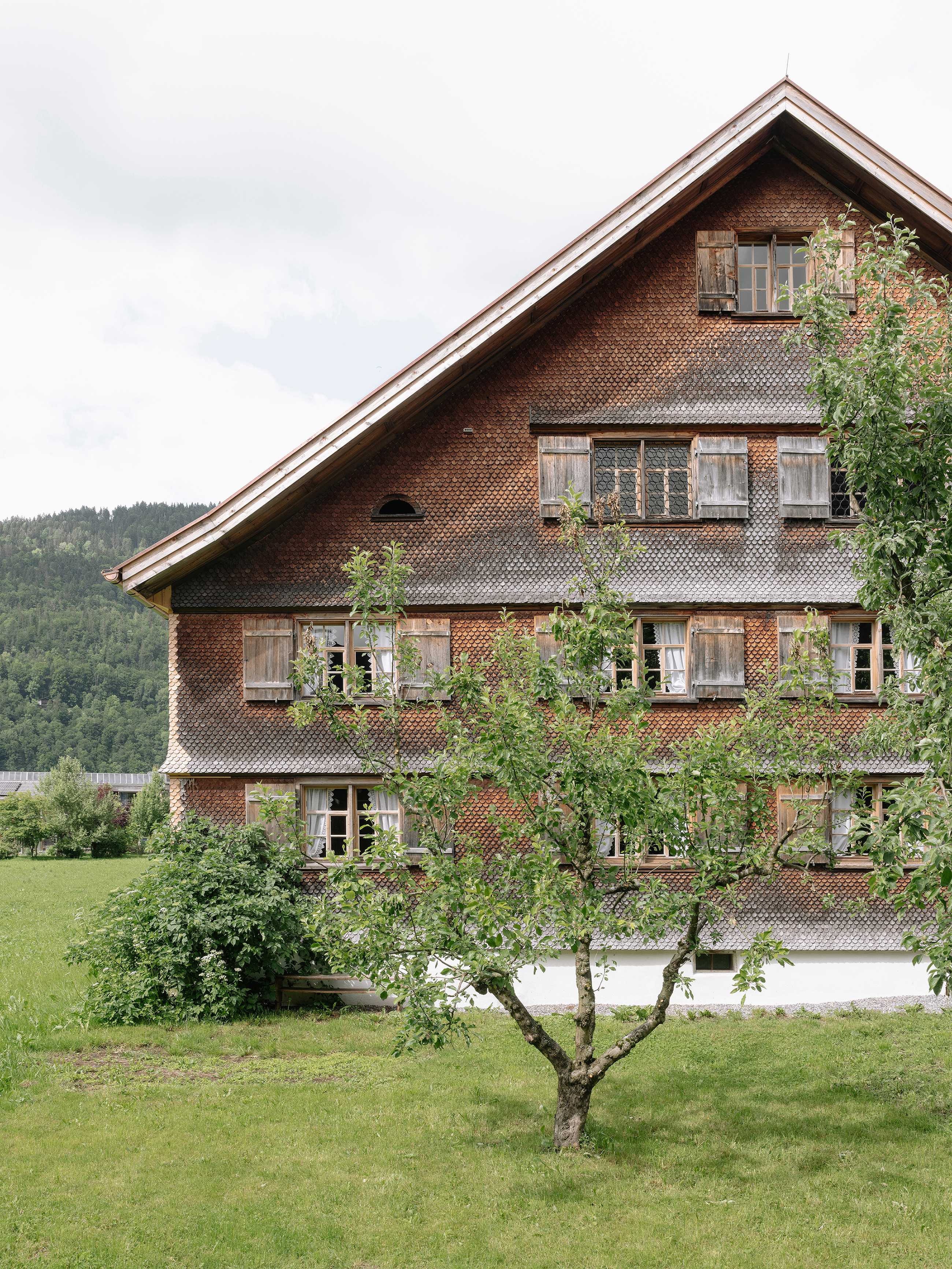 Museum Bezau (3)