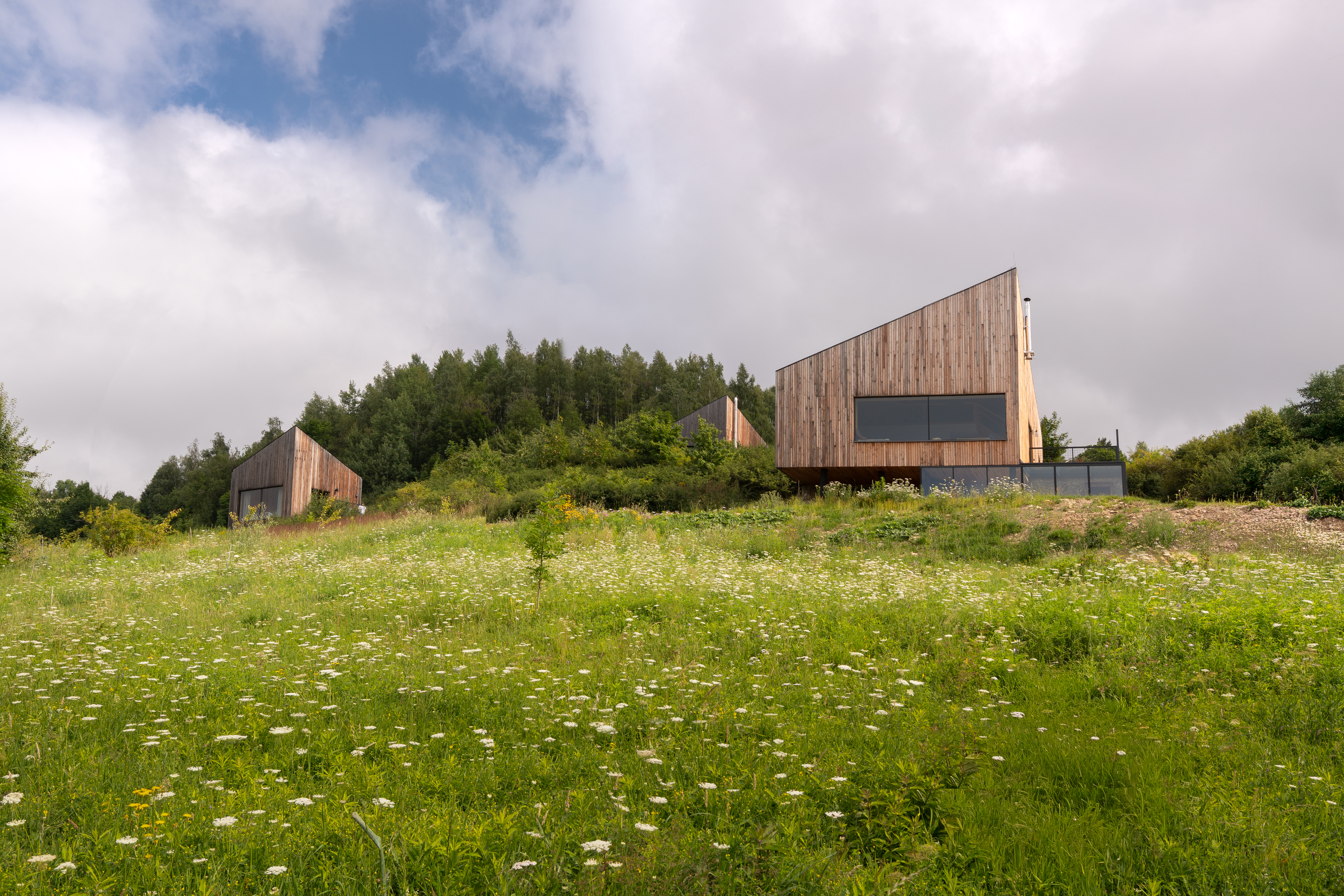 House Within the Landscape (3)