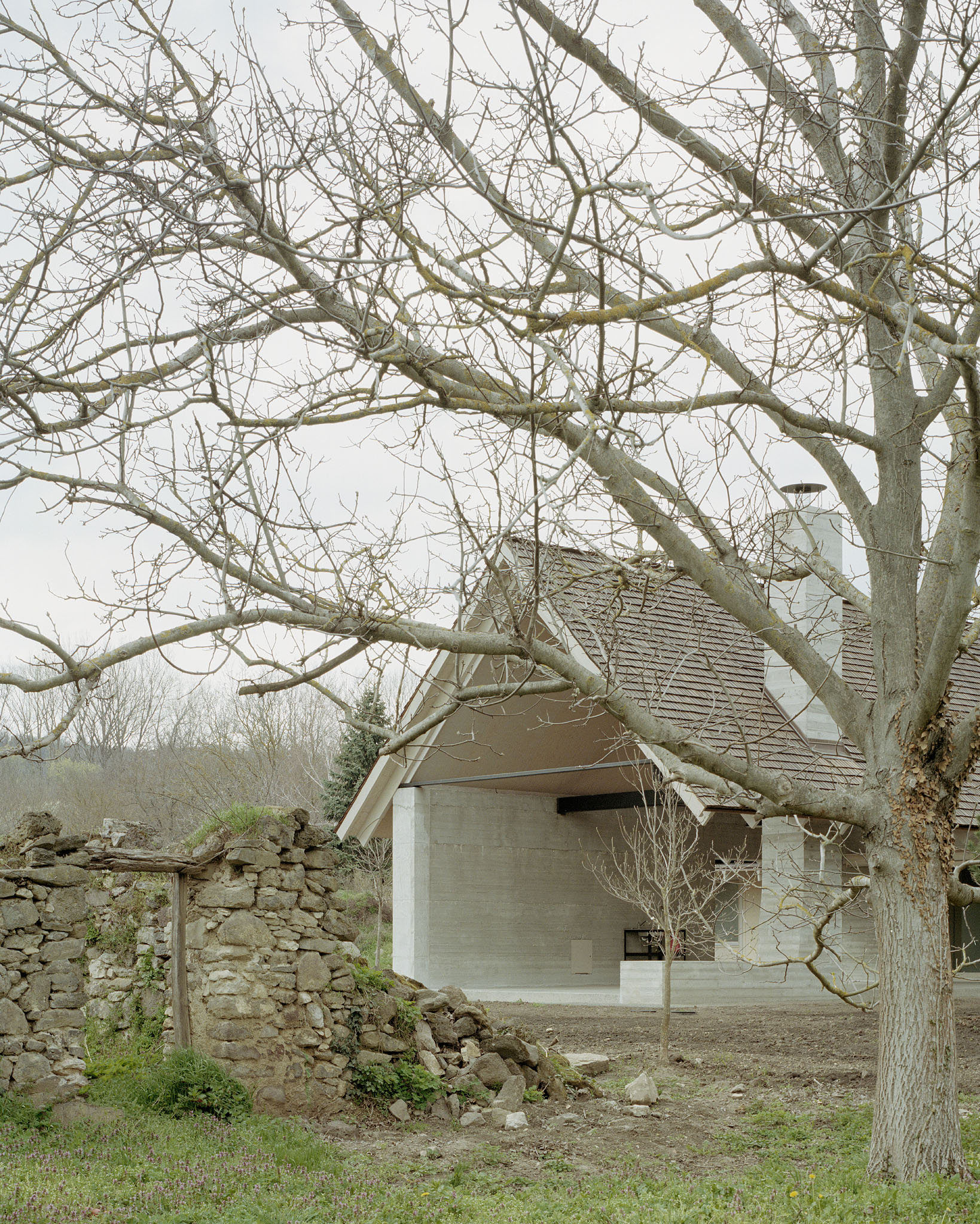 House and Beeyard (4)