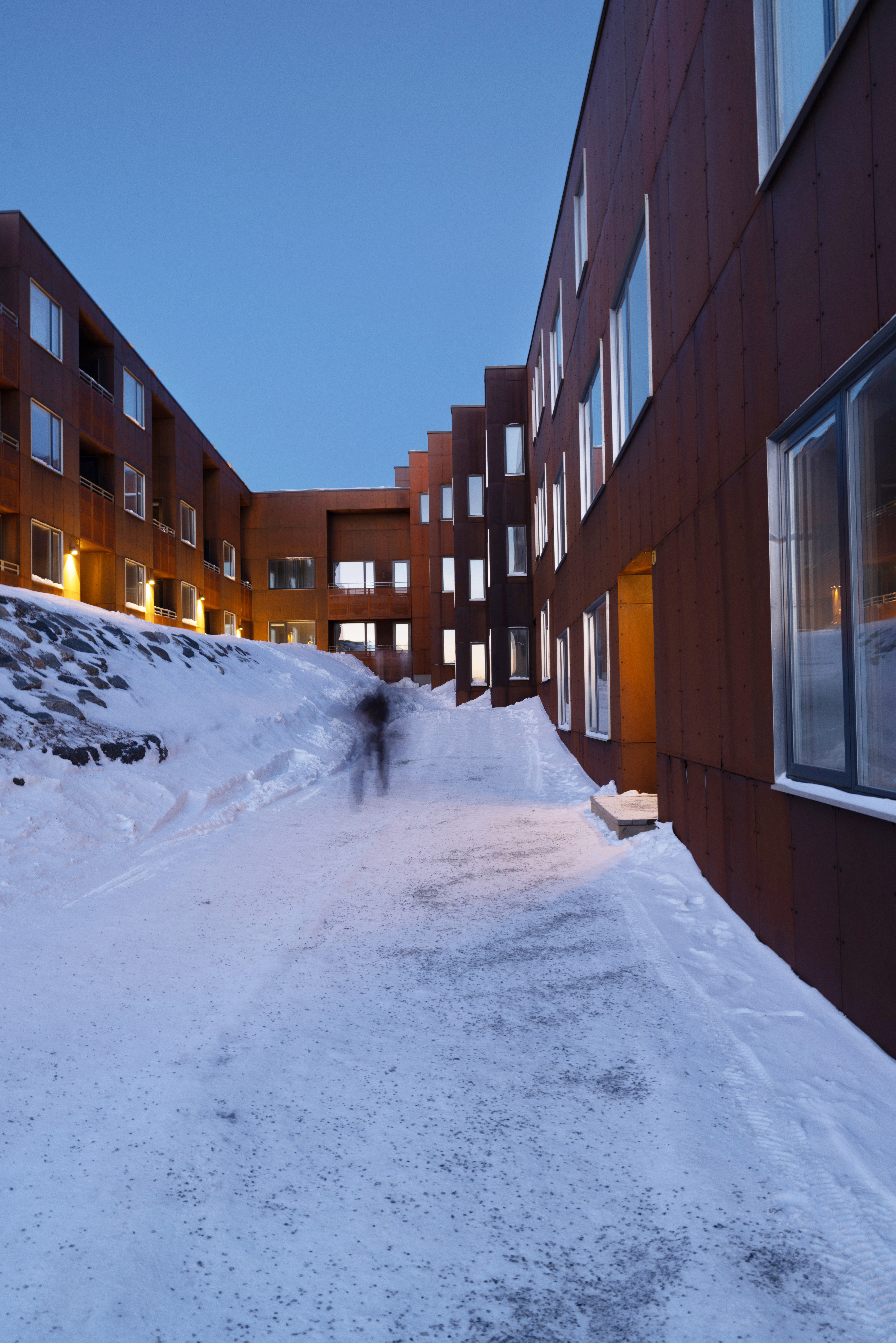 Nuukullak 10 / BIOSIS (6)