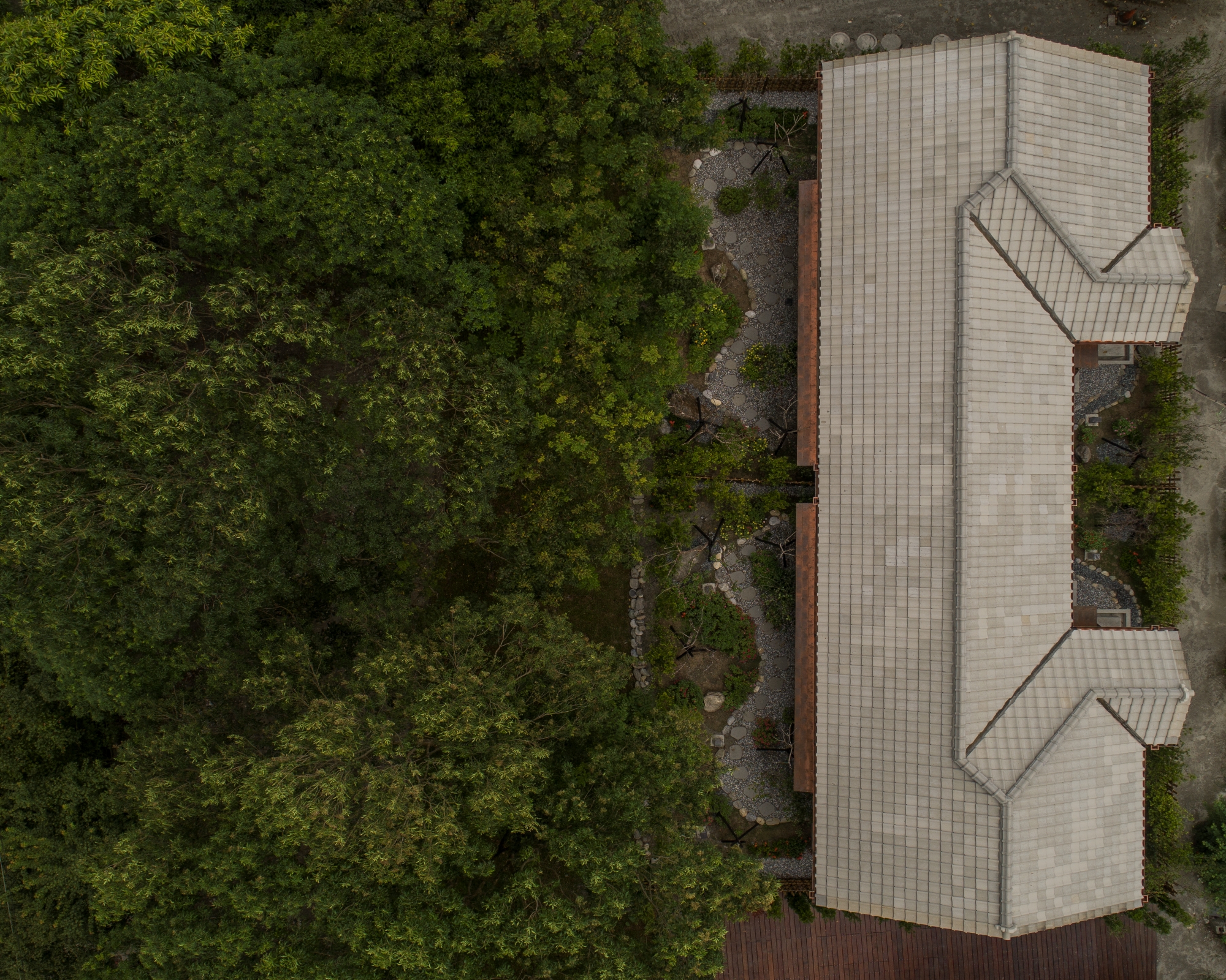 Lintianshan Forestry Culture Park  (6)