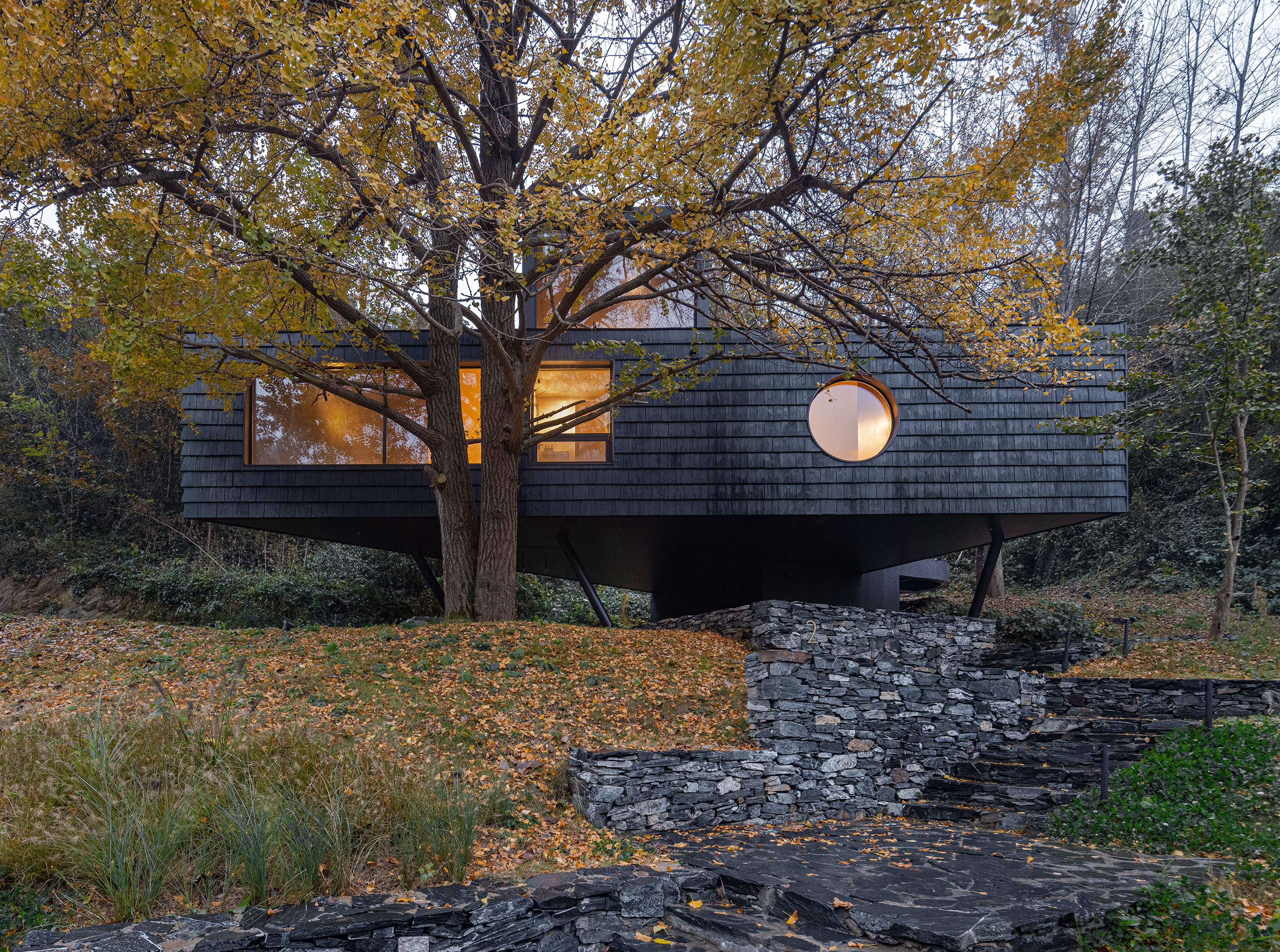 Ginkgo Valley·Treehouse (3)