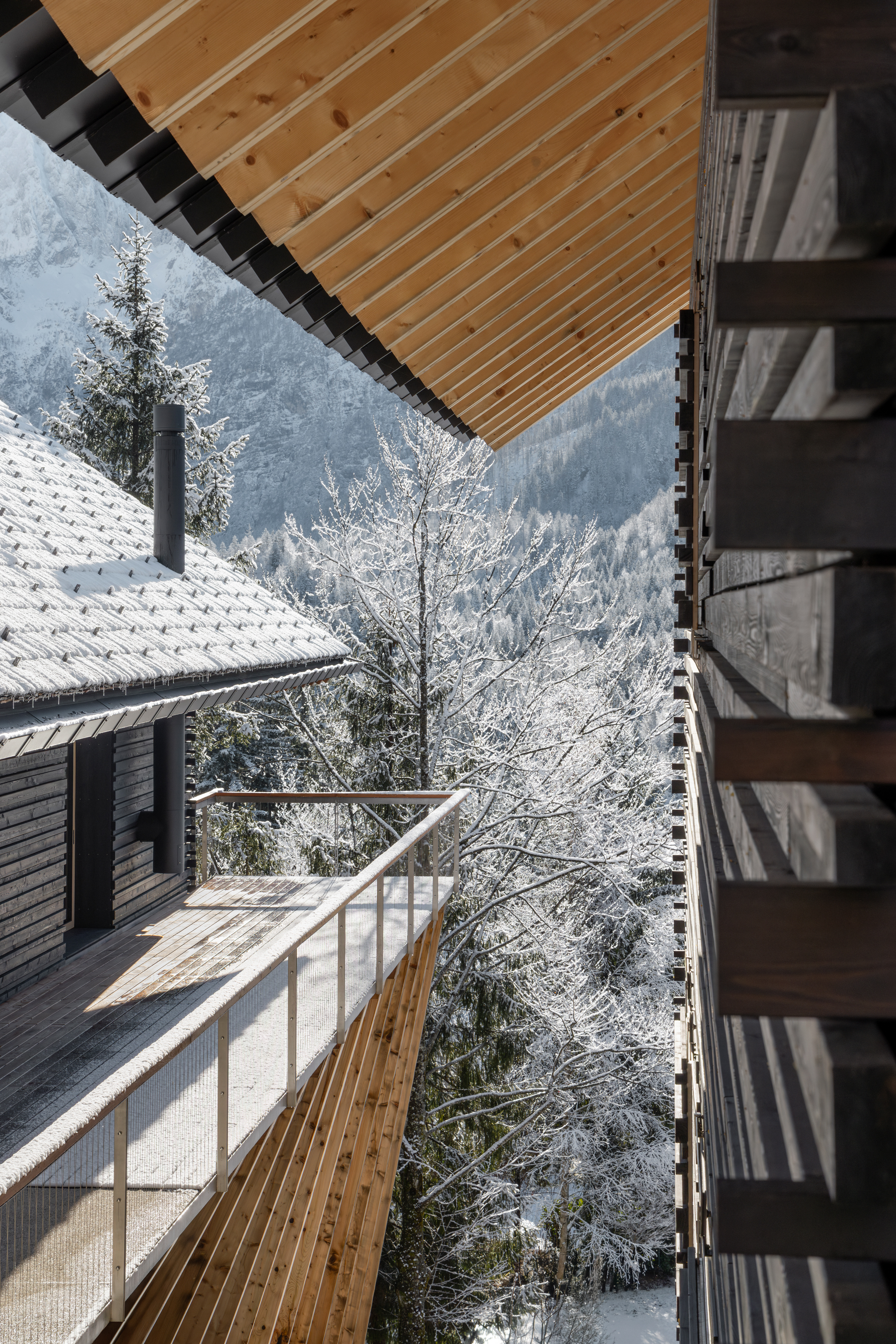Twin Alpine Houses (2)