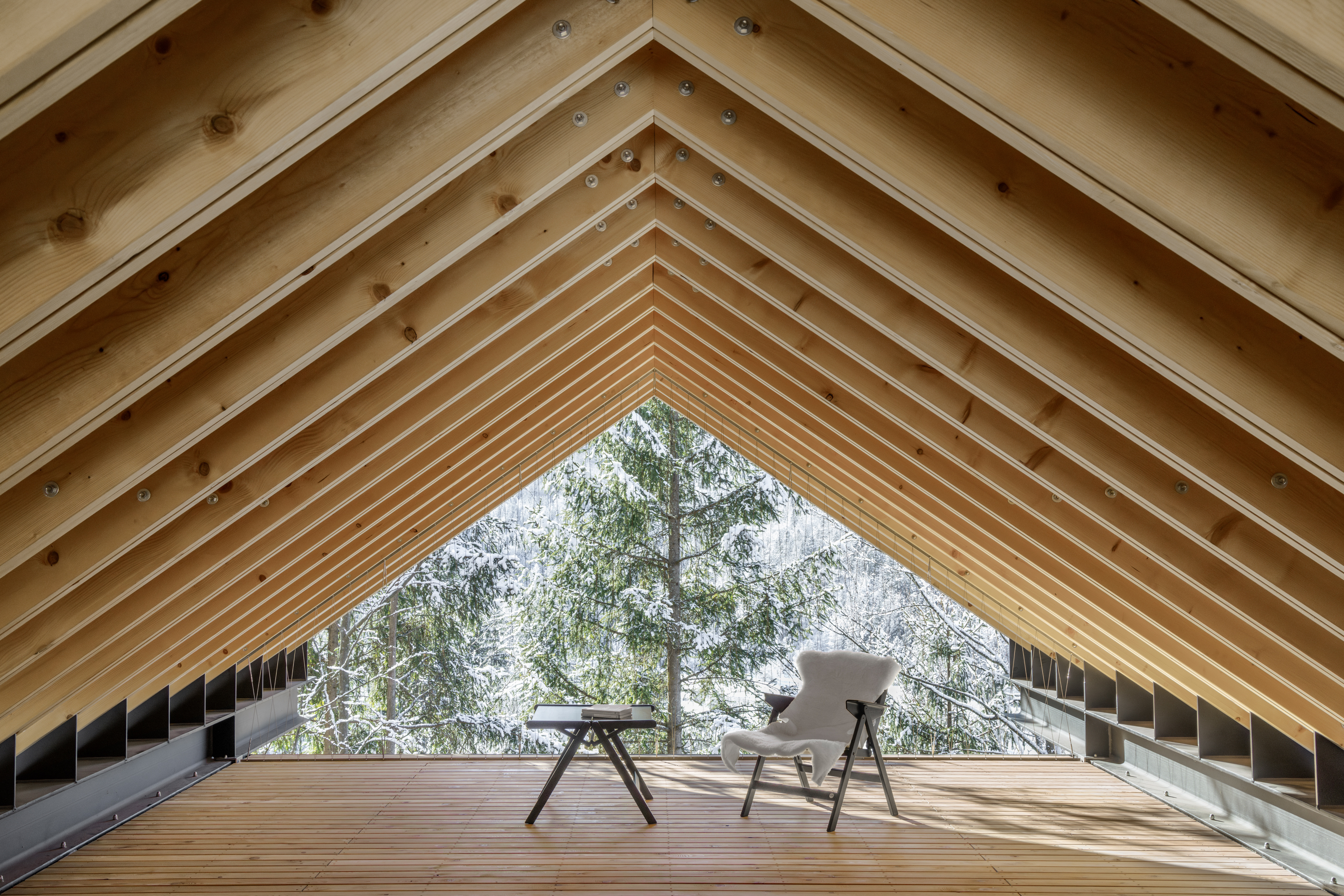 Twin Alpine Houses (6)