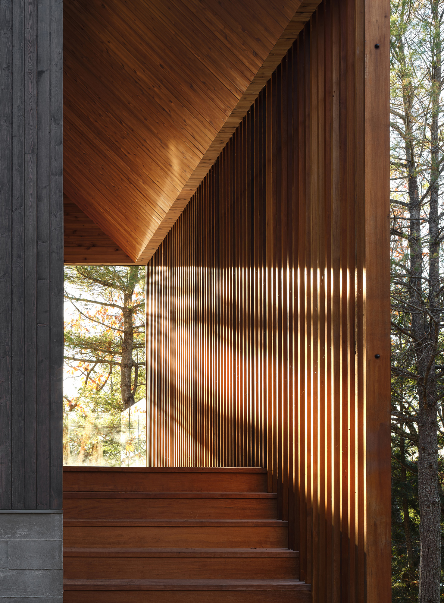 Bunkie on the Hill (2)