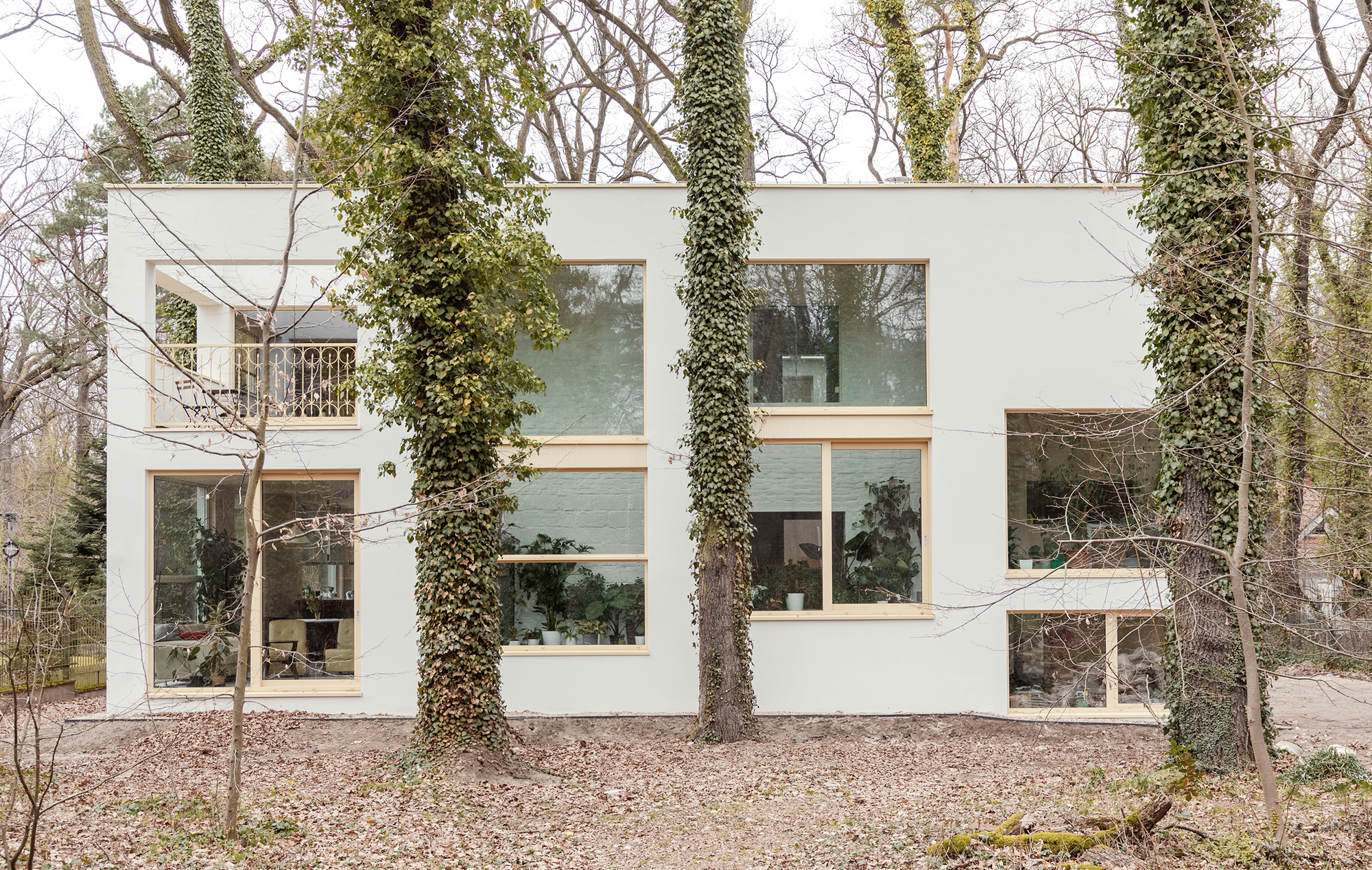 House within a house (2)