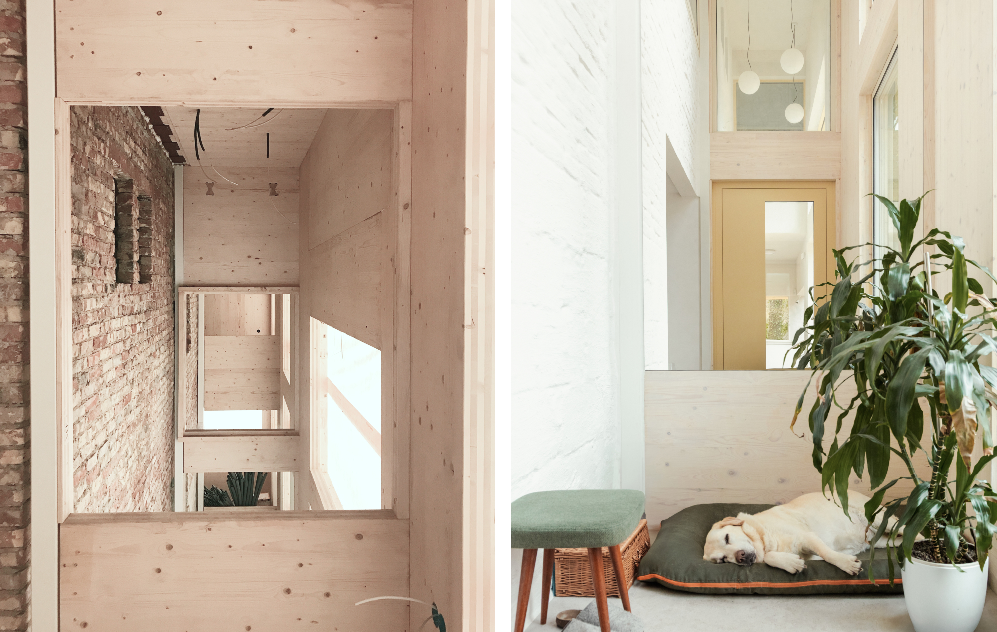 House within a house (5)