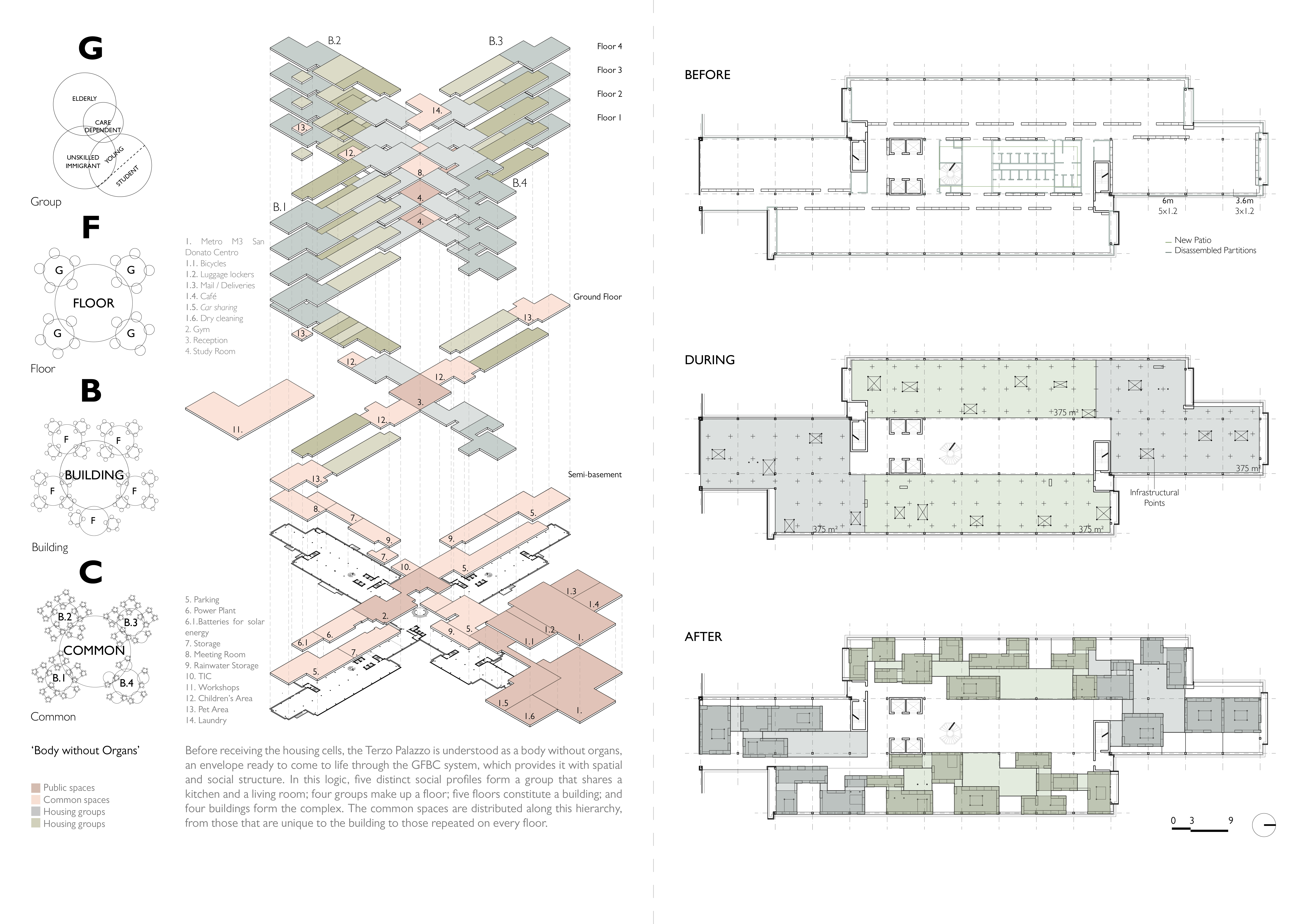 Typological Re-generation of Terzo Palazzo (4)
