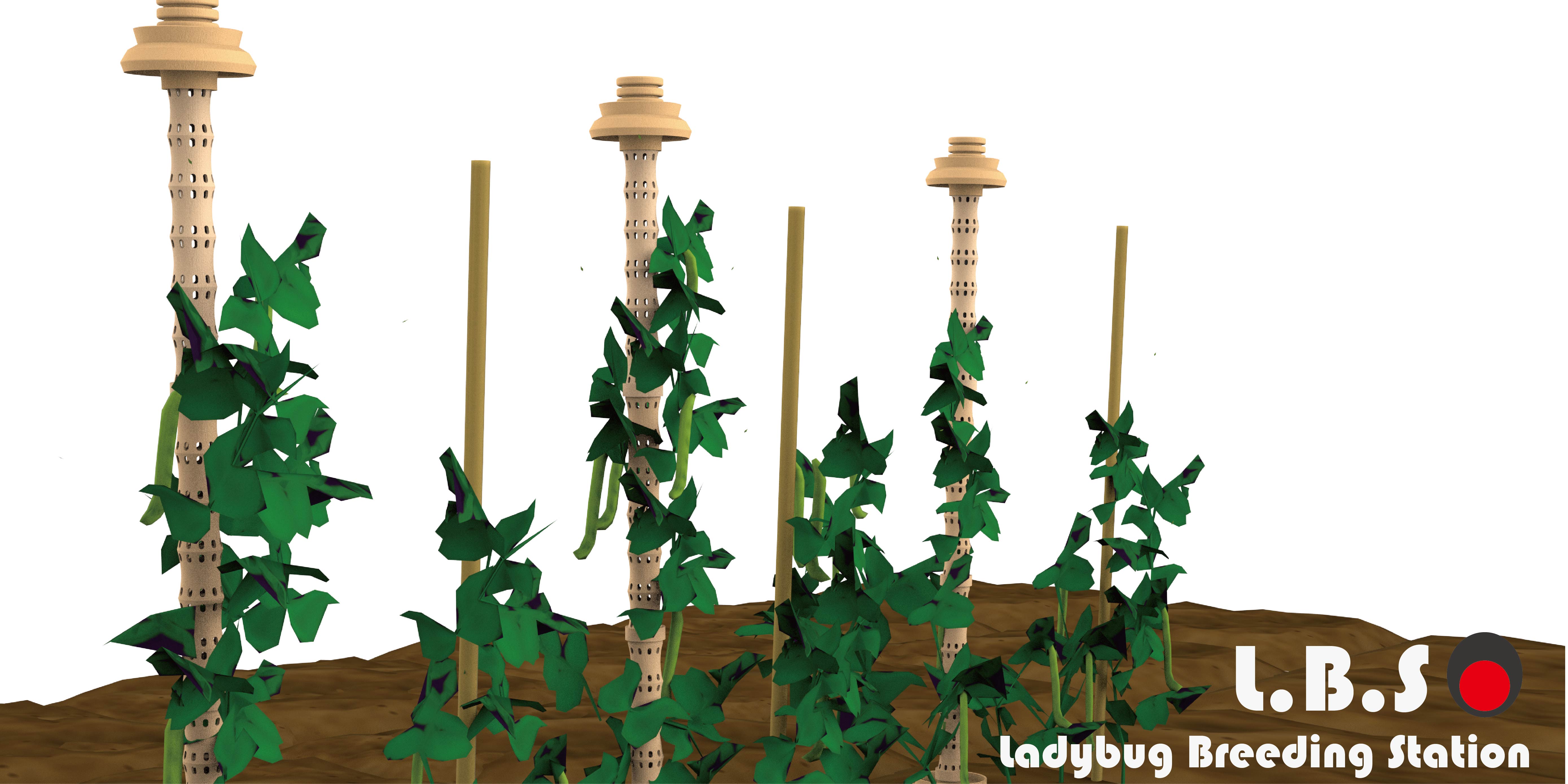 L.B.S Ladybug Breeding Station